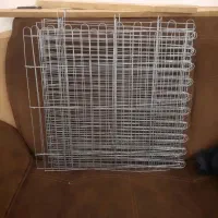 پارک سگ