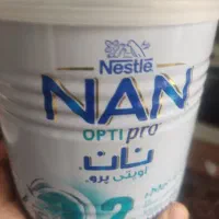 قوطی