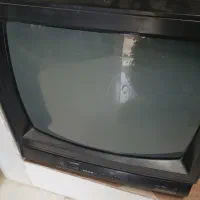 تلوزیون