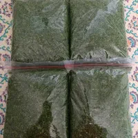 سبزی