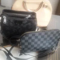 کیف مجلسی