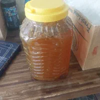 عسل ارگانیک درجه یک