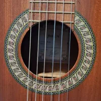 گیتار پارسی p40