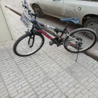 دوچرخه ۲۴ ویوا حرفه ای