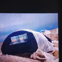 گلخانه فروشی فوری