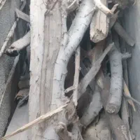 چوپ