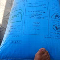 کود اوره تاریخ روز