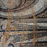 پرده مهره ای