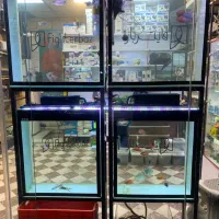فروشگاه آکواریومی در فلاح