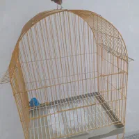 تعدادی قفس پرنده