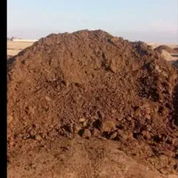 کود گاو گوسفند