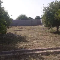 علف زنی .هرس درختان.شخم زنی
