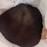 تفاله قهوه خشک درجه یک