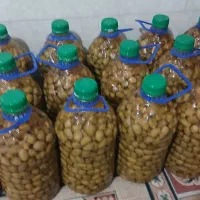 زیتون شور
