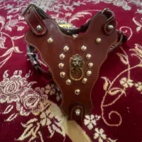 قلاده سینه بند قورچه
