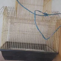قفس پرنده