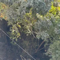 فروش خانه باغ