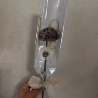 شمع شاخه ای