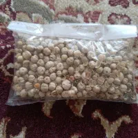 اسپند تروتمیز