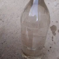 عرق نعناع