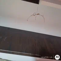 تختخواب دوطبقه