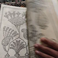 قرآن|کتاب و مجله مذهبی|مشهد, توس (بلوار توس)|دیوار
