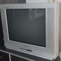 تلویزیون