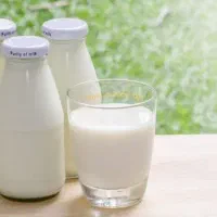 شیر تازه