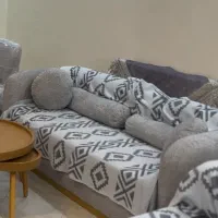 مبل تدی، نو