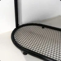 رگال