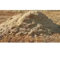 کاه جو درجه یک