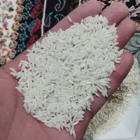 برنج هاشمی