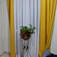 پرده پانچ مخمل