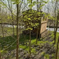 کلبه های درآمدزا // رشد سرمایه