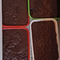 بیومس آرتمیا