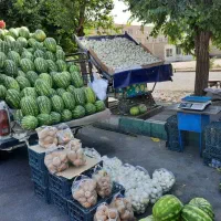 شاگرد میوه فروشی