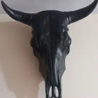 جمجمه گاو تزئینی