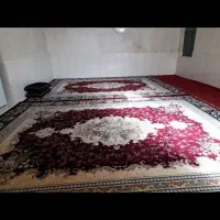فرش۱۲متریسالم