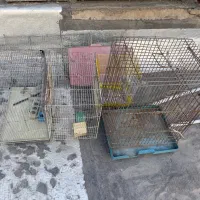 قفس پرنده