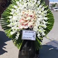 تاج گل|گل و گیاه طبیعی|شهر ری, صالح آباد جنوبی (باغ رضوان)|دیوار