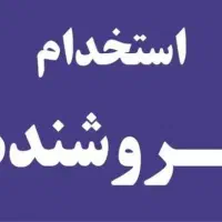 نیازمند فروشنده بازنشسته آقا