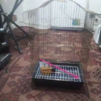 قفس پرنده بزرگ یک تومن