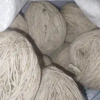 پشم