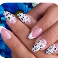 کلیه خدمات (کاشت/ترمیم/ژلیش)زیرنظر مستقیم استادکار