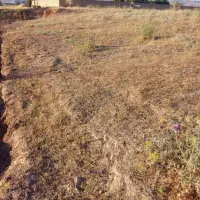 زمین 150متری خیابان نهضت سودآموزی کوچه آراسته ششم
