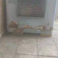 کولر آبی 5500