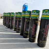 ایزوگام حسینی