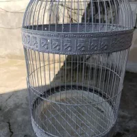 قفس پرنده