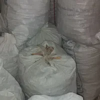 نان خشک
