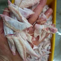 غذای سگ|خوردنی و آشامیدنی|قم, آزادگان|دیوار